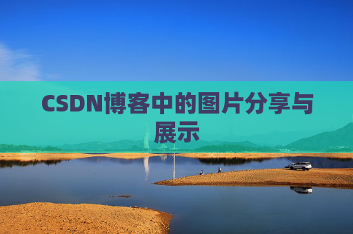 CSDN博客中的图片分享与展示
